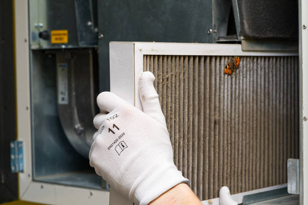 Best Residential Air Duct Cleaning  in Millport, AL