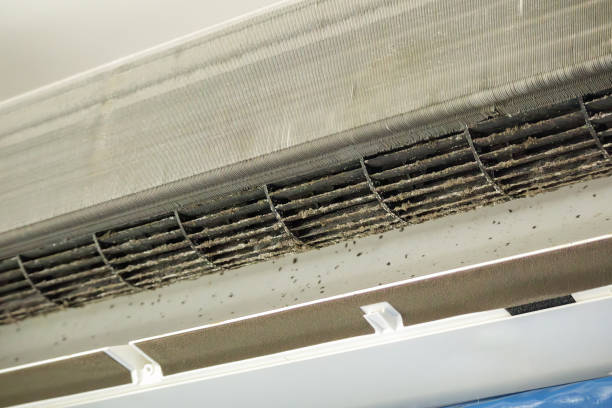 Trusted Millport, AL Airduct Cleaning Experts