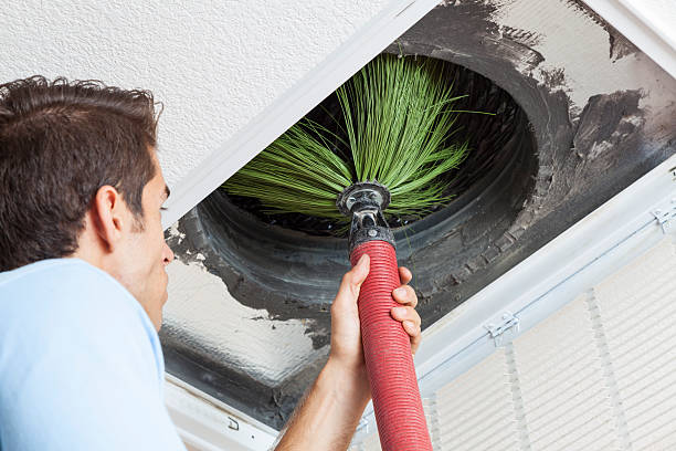 Best Ductwork Cleaning Services  in Millport, AL